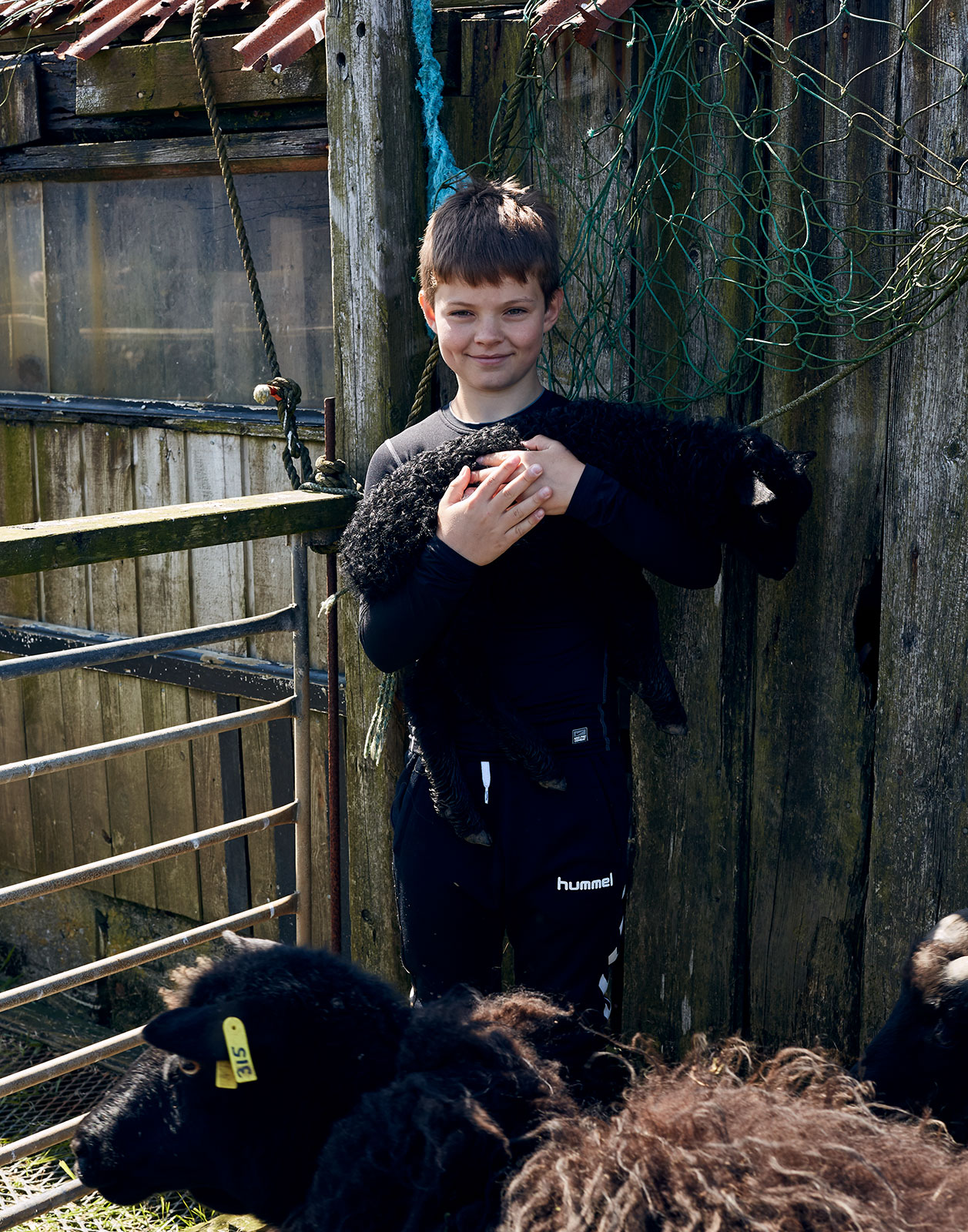 faroe_d2_c2_000B3483